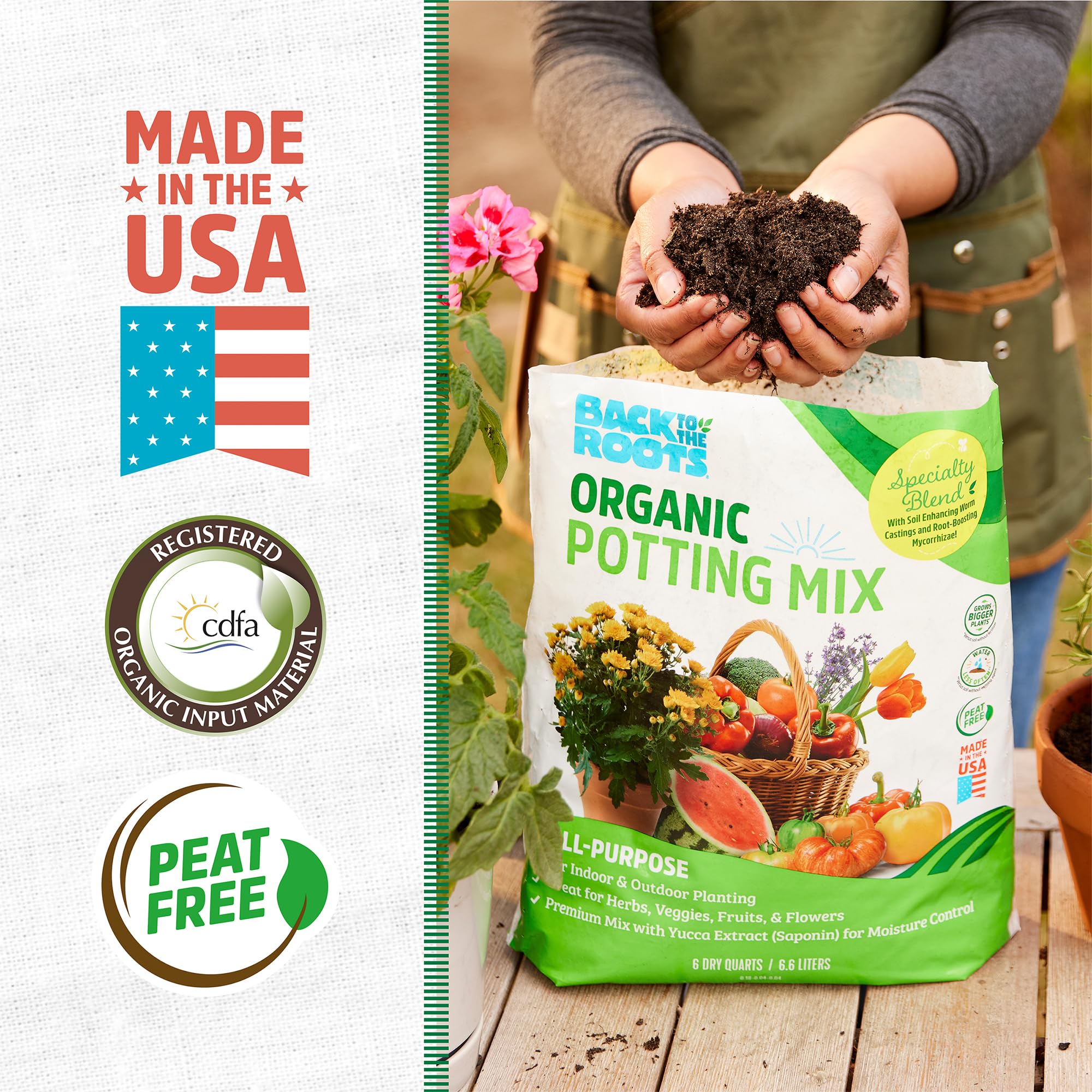 Amazon.com : Back to the Roots All-Purpose Potting Mix 6 Quarts